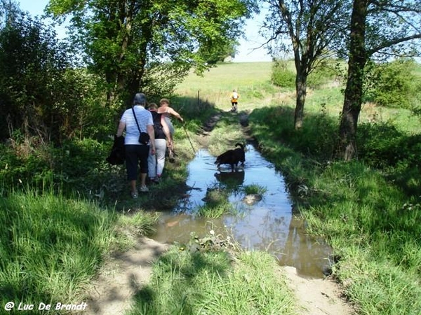 Ardennen wandeling Adeps Philippeville