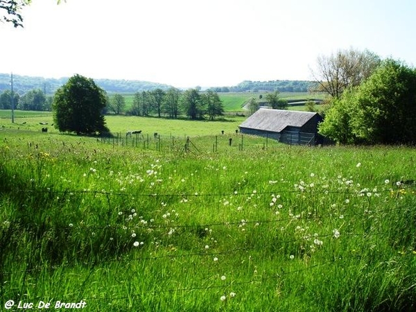 Ardennen wandeling Adeps Philippeville