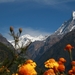 Machhapuchhre