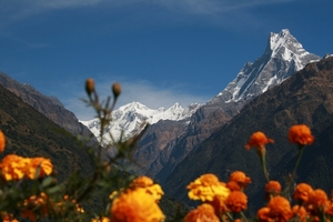 Machhapuchhre