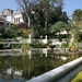 Garden of dreams