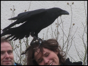 IMG_2334 - kopie [1600x1200]