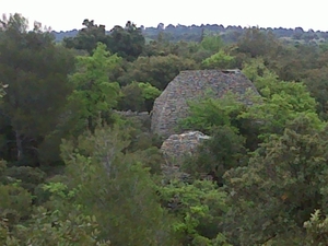 DSC00039