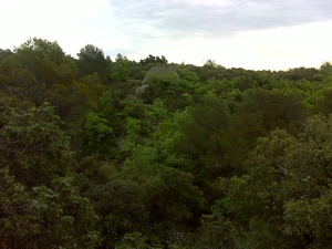 DSC00040