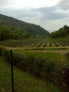 DSC00050