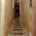 DSC00071