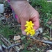 DSC00080