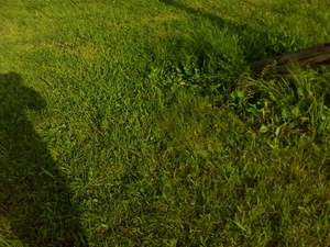 DSC00096