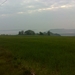 DSC00101
