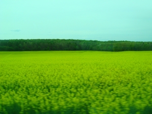 DSC05020