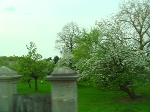 DSC05022