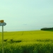 DSC05024