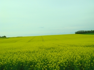 DSC05025