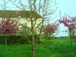 DSC05035