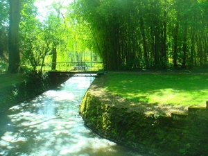 DSC05058