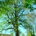 DSC05060