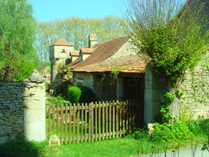 DSC05067