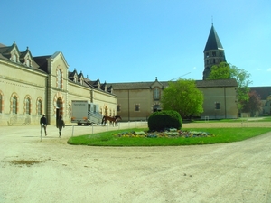 DSC05118