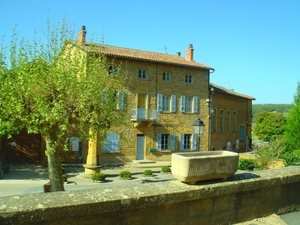 DSC05133