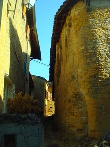 DSC05134