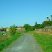 DSC05140