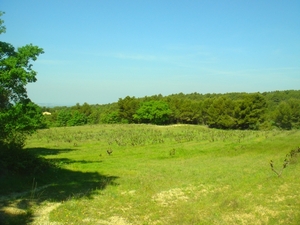 DSC05146