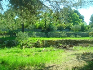 DSC05147