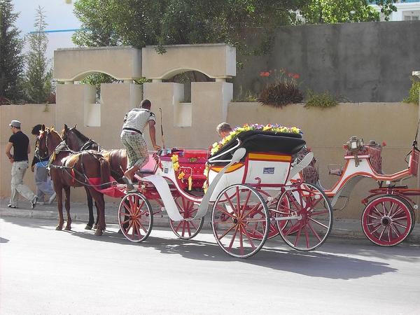 Tunesië 2010 (2)