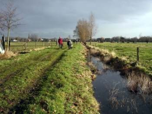 05-01-30 Zwijnaarde