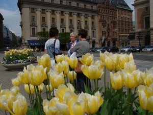 2010-05-19 Stockholm 124