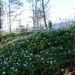 2010-05-19 Stockholm 204