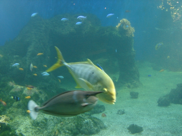 2010-05-19 Stockholm 374