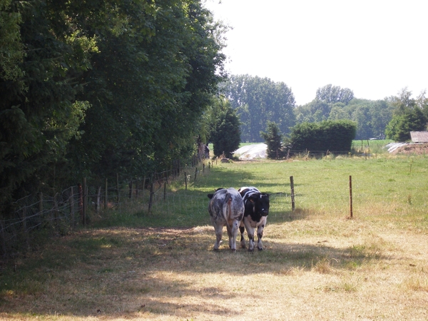 Van voor en van achter