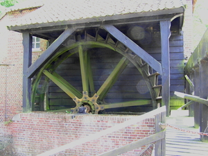 lieshout 2010 089