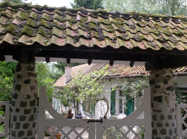 dikkelvenne onderweg..