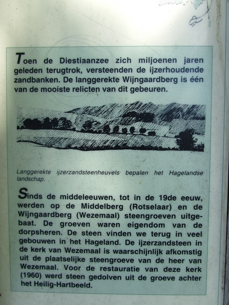 wijngaardbergwandeling