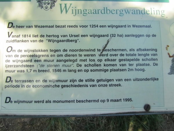 wijngaardbergwandeling