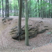natuur