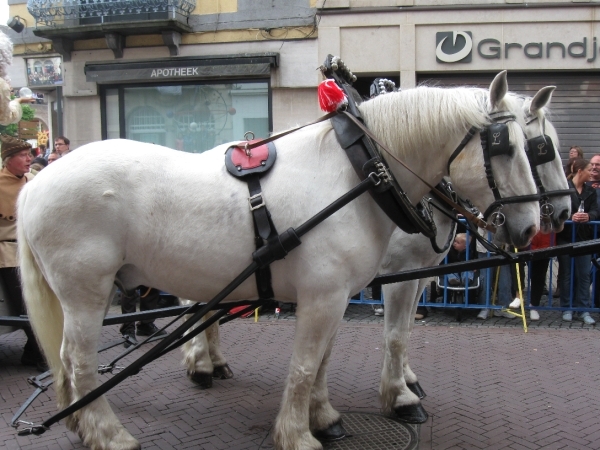 Dendermonde Ros Beiaard ommegang '01 044