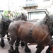 Dendermonde Ros Beiaard ommegang '01 085