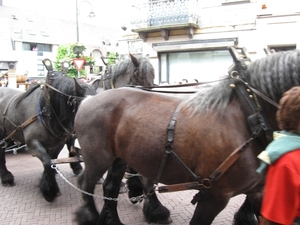 Dendermonde Ros Beiaard ommegang '01 085