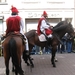 Dendermonde Ros Beiaard ommegang '01 089