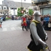 Dendermonde Ros Beiaard ommegang '01 117