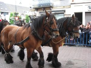 Dendermonde Ros Beiaard ommegang '01 122