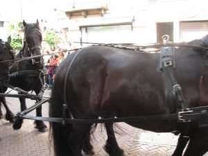 Dendermonde Ros Beiaard ommegang '01 139