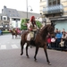 Dendermonde Ros Beiaard ommegang '01 155