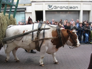 Dendermonde Ros Beiaard ommegang '01 177