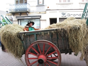 Dendermonde Ros Beiaard ommegang '01 178