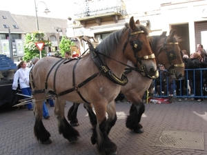 Dendermonde Ros Beiaard ommegang '01 238