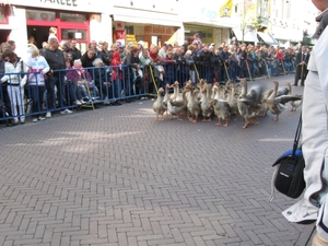 Dendermonde Ros Beiaard ommegang '01 248